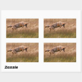 コヨーテリーピング – ギブボンメドウズ 長方形シール (シート)