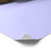 コヨーテ大学院 ポスター (角)