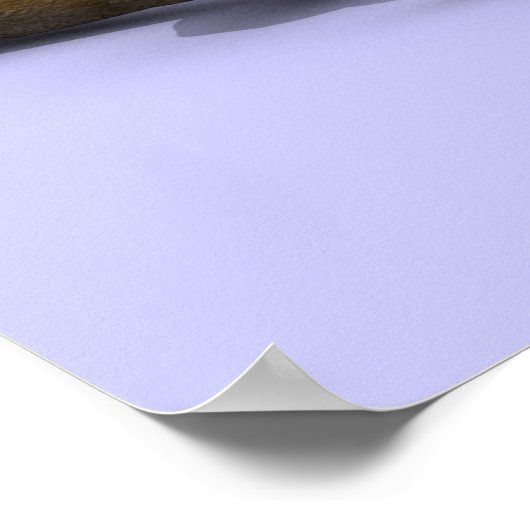 コヨーテ大学院 ポスター (角)