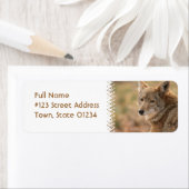 コヨーテ差出人住所宛名ラベル ラベル (インサイチュ)