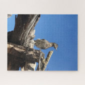 コヨーテ氏を見守る ジグソーパズル (横)