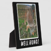 コヨーテ狩り – フつるルオーバー柵 フォトプラーク (側面)