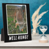 コヨーテ狩り – フつるルオーバー柵 フォトプラーク (側面)