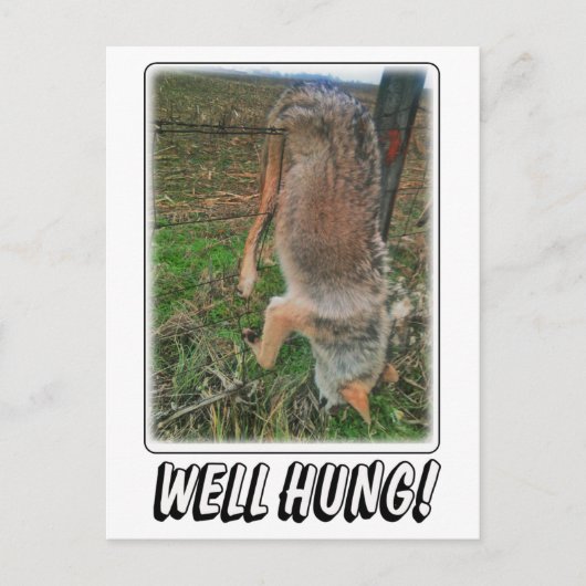 コヨーテ狩り – フつるルオーバー柵 ポストカード (正面)