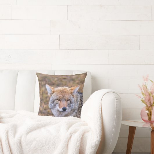 コヨーテ野犬ピロー クッション (ソファ)