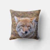 コヨーテ野犬ピロー クッション (裏面)