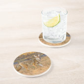 コヨーテ（カニスラタン）狩り コースター (側面)