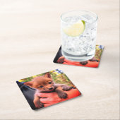 コヨーテ・クブ スクエアペーパーコースター (インサイチュ)