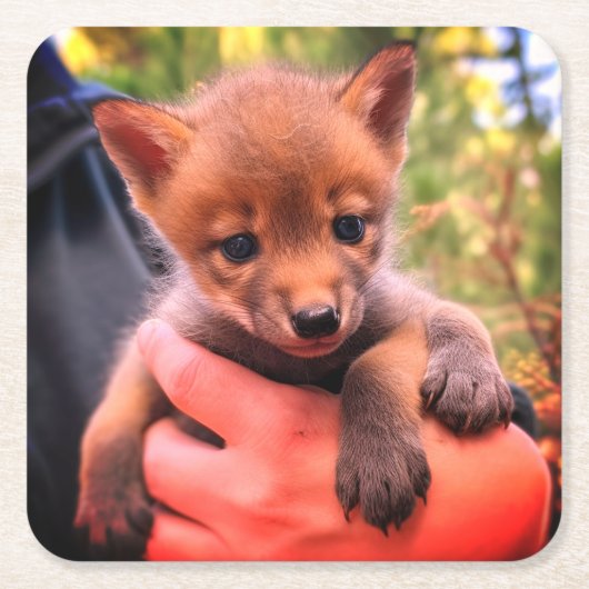 コヨーテ・クブ スクエアペーパーコースター (正面)