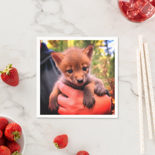 コヨーテ・クブ スタンダードカクテルナプキン (インサイチュ)