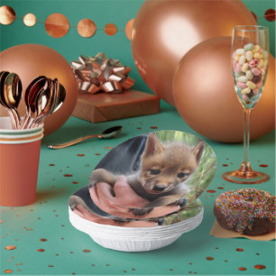 コヨーテ・クブ ペーパーボウル