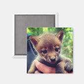 コヨーテ・クブ マグネット (正面/裏面)