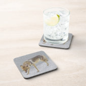 コヨーテ コースター (右側)