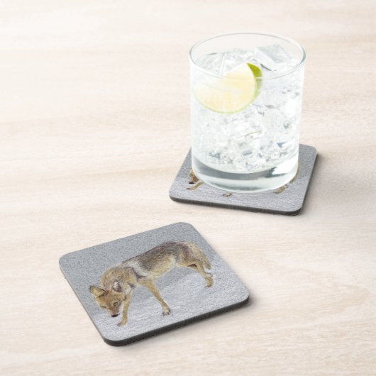 コヨーテ コースター (右側)