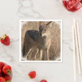 コヨーテ スタンダードカクテルナプキン (インサイチュ)