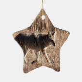 コヨーテ セラミックオーナメント (右)