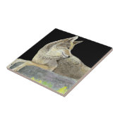 コヨーテ タイル (側面)