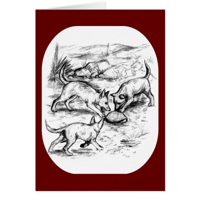 コヨーテ・パップ (正面)