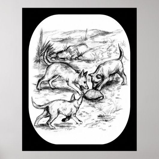 コヨーテ・パップ ポスター (正面)