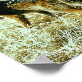 コヨーテ ポスター (角)