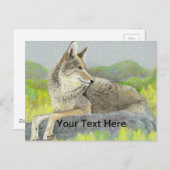 コヨーテ ポストカード (正面/裏面)