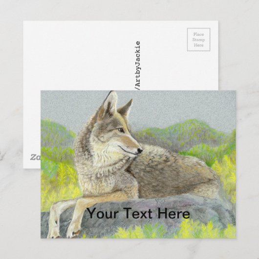 コヨーテ ポストカード (正面/裏面)