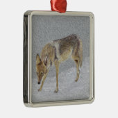 コヨーテ メタルオーナメント (右)