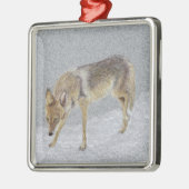 コヨーテ メタルオーナメント (左)