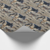 コヨーテ ラッピングペーパー (角)