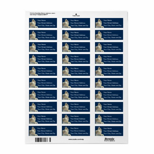 コヨーテ ラベル (フルシート)