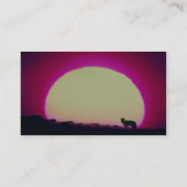 コヨーテ、南西、特殊効果 名刺 (裏面)