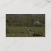 コヨーテ 名刺 (裏面)