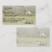 コヨーテ 名刺 (正面/裏面)