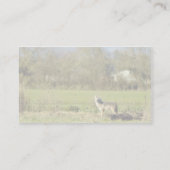 コヨーテ 名刺 (裏面)