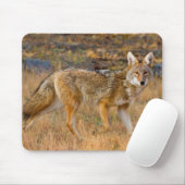 コヨーテ (Canis Latrans) 狩猟 マウスパッド (マウス)