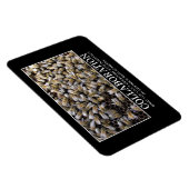 コラボレーションによる成功の可能性の向上 マグネット (右側)