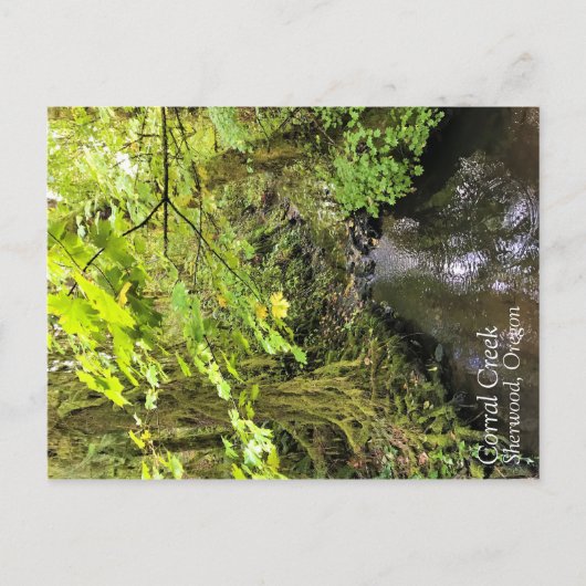 コラルクリーク ポストカード (正面)