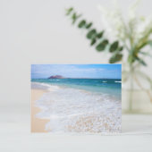 コラレジョフラグビーチ ポストカード (スタンド正面)