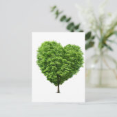 コラーサン生態学 ポストカード (スタンド正面)