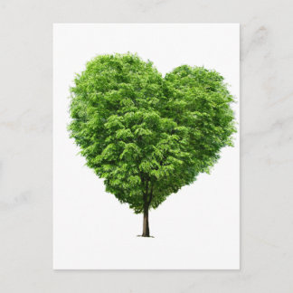 コラーサン生態学 ポストカード