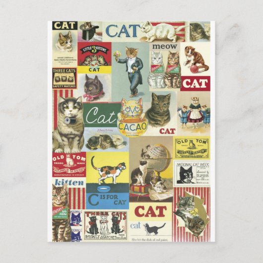 コラージュのチャットヴィンテージ ポストカード (正面)