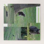 コラージュパズル:活動中の猫 ジグソーパズル (横)