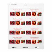 コラージュホリデイ住所 シール (フルシート)