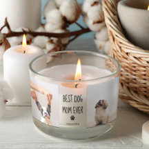 コラージュモダン写真最高の母の犬