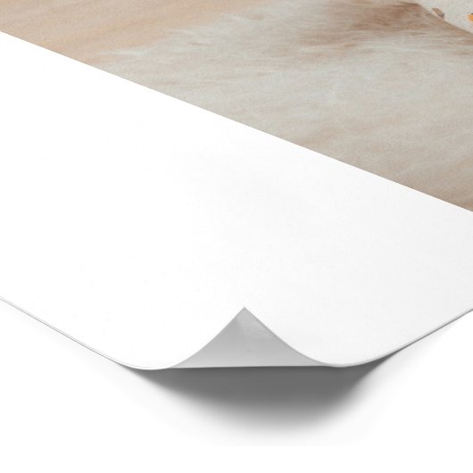 コラージュ写真と最高のおばあちゃんエバー最高の美しいプレゼント ポスター (角)