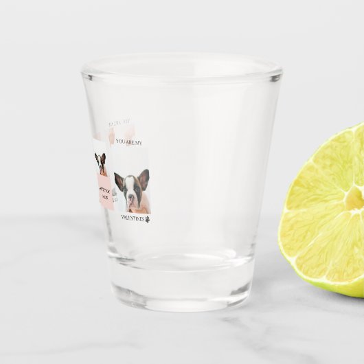 コラージュ犬の写真 |犬は私のバレンタイン |ピンク ショットグラス (右)