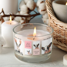 コラージュ犬の写真 |犬は私のバレンタイン |ピンク