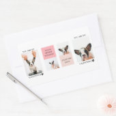 コラージュ犬の写真 |犬は私のバレンタイン |ピンク 長方形シール (封筒)