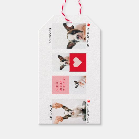 コラージュ犬の写真 |私の犬はバレンタイン ギフトタグ (正面)