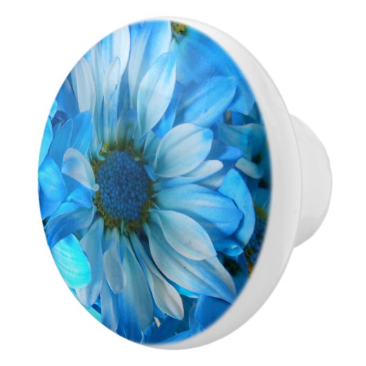 コラート セラミックノブ (右)